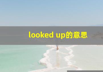 looked up的意思